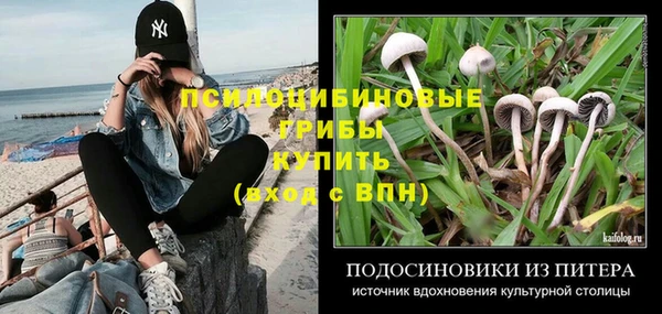 PSILOCYBIN Алексин