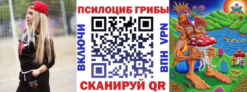 Галлюциногенные грибы Magic Shrooms  сколько стоит  Ефремов 